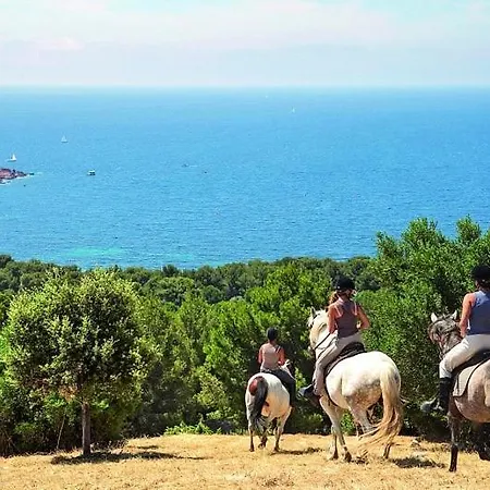 Cap Esterel Magnifique Vue 5 Pers Climatise Lägenhet