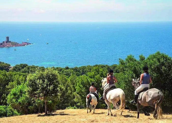 Cap Esterel Magnifique Vue 5 Pers Climatise Апартаменты